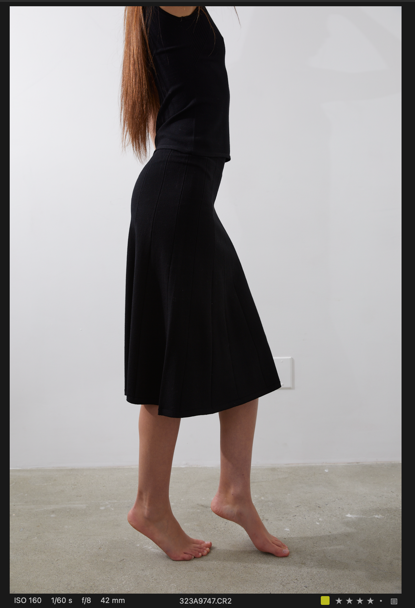 Vega Skirt in Black